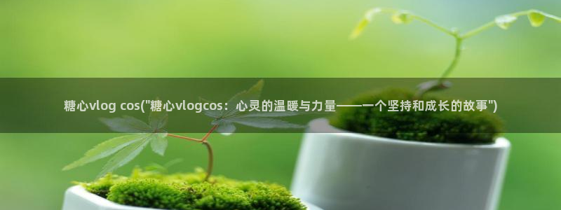 类似糖心vlog：糖心vlog cos(\