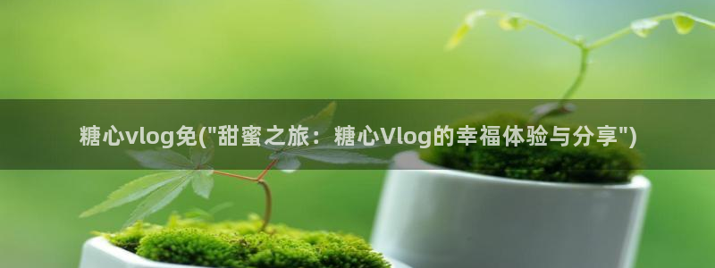 糖心vlog兔全套