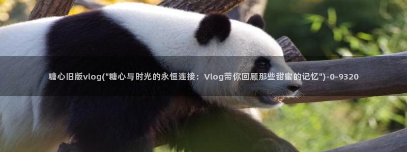 糖心vlog 兑换码：糖心旧版vlog(\