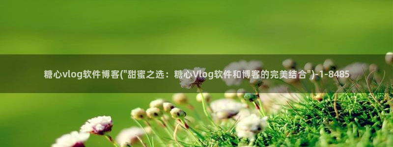 糖心vlog 妮娜：糖心vlog软件博客(\