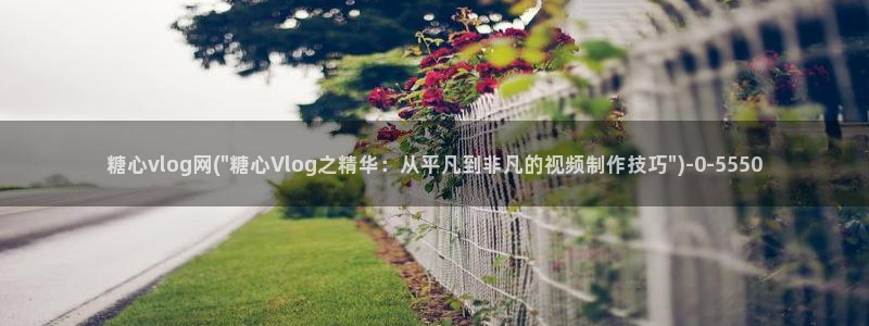 糖心vlog肥牛