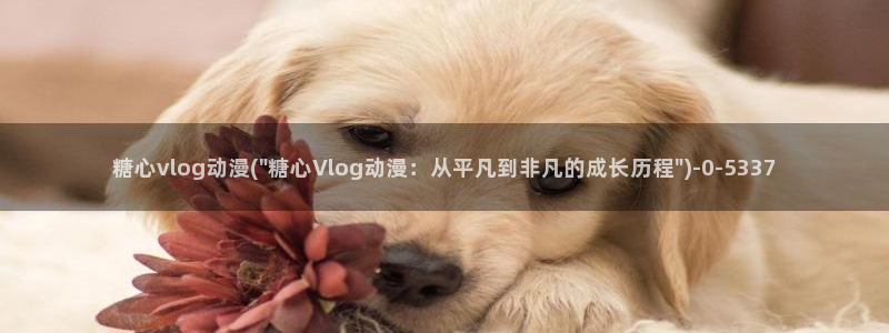 糖心vlog官方账号：糖心vlog动漫(\