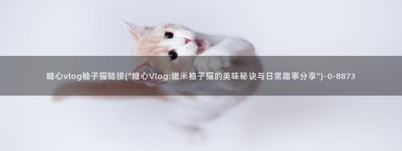糖心vlog在线免费：糖心vlog柚子猫链接(\