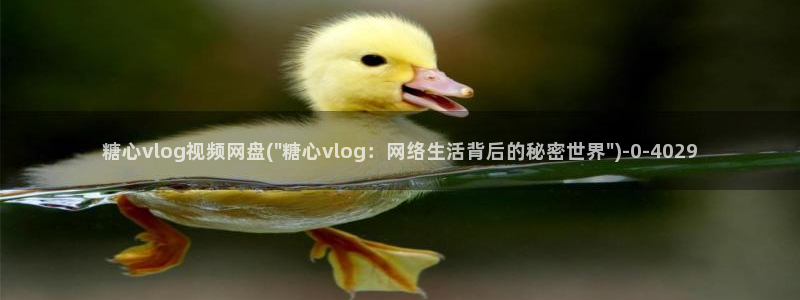 糖心vlog室友：糖心vlog视频网盘(\