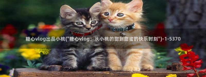 糖心vlog小桃视色：糖心vlog出品小桃(\