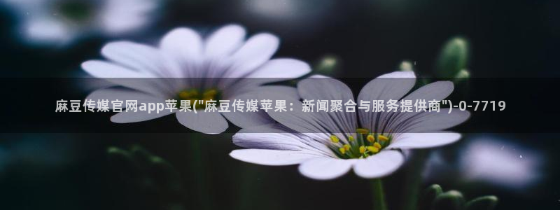 麻豆传媒官网是啥：麻豆传媒官网app苹果(\