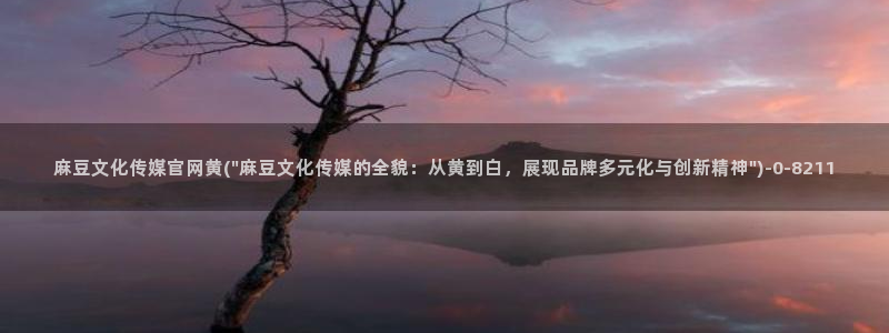 麻豆传媒app官网在线：麻豆文化传媒官网黄(\