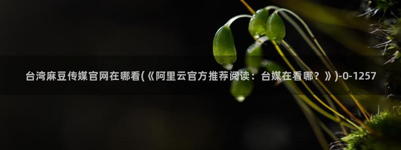 麻豆AV传媒在线官网：台湾麻豆传媒官网在哪看(《阿里云官方推荐阅读：台媒在看哪？》)