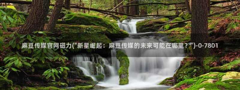台湾麻豆传媒官网：麻豆传媒官网磁力(\