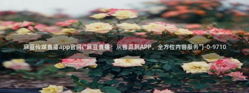 麻豆传媒官网在哪找：麻豆传媒直播app官网(\