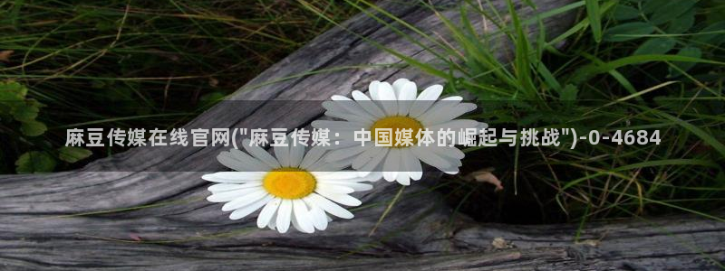 麻豆印画传媒官网：麻豆传媒在线官网(\