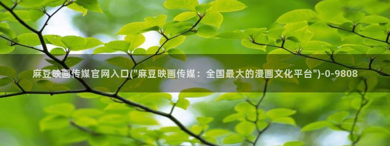 麻豆传媒官网女艺人：麻豆映画传媒官网入口(\