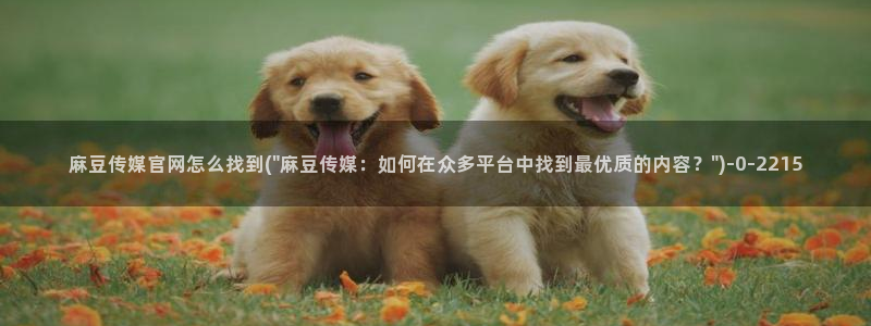 麻豆经济传媒官网：麻豆传媒官网怎么找到(\