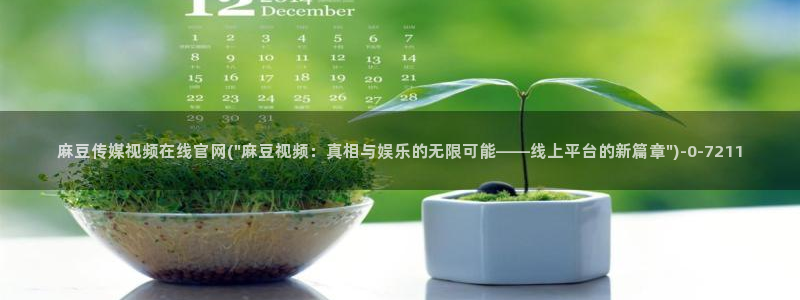 麻豆传媒官网直：麻豆传媒视频在线官网(\