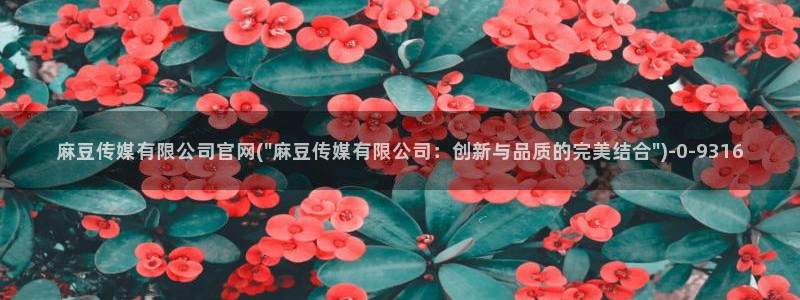 麻豆影像传媒官网地址：麻豆传媒有限公司官网(\