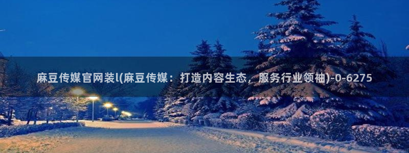 麻豆印映传媒官网：麻豆传媒官网装l(麻豆传媒：打造内容生态，服务行业领袖)
