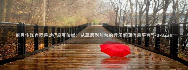 麻豆传媒官网幻：麻豆传媒官网是啥(\