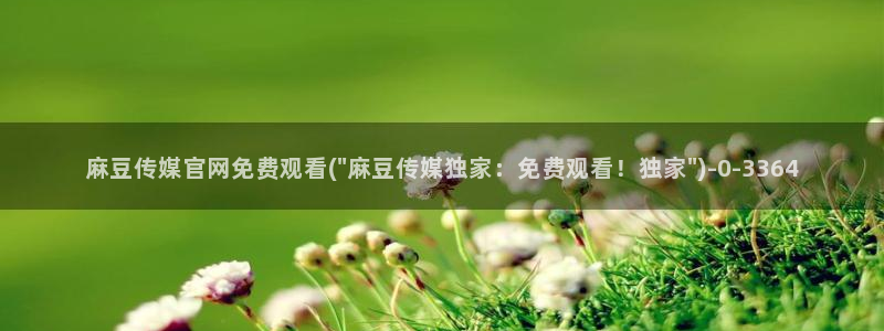 麻豆呀传媒官网：麻豆传媒官网免费观看(\