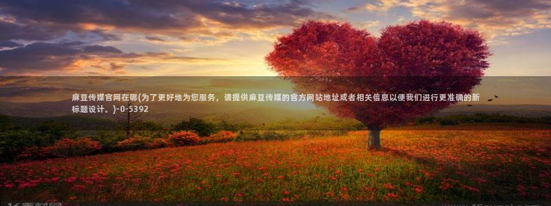 麻豆官网传媒映画