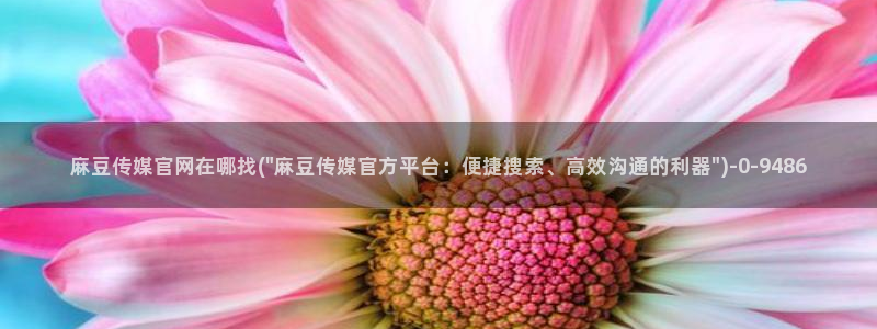 麻豆官网传媒入口