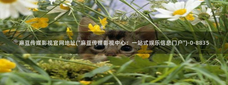 麻豆传媒官网刘思