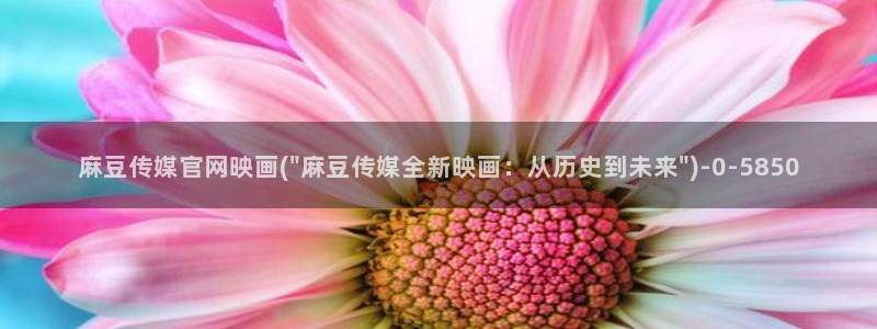 麻豆果冻传媒官网