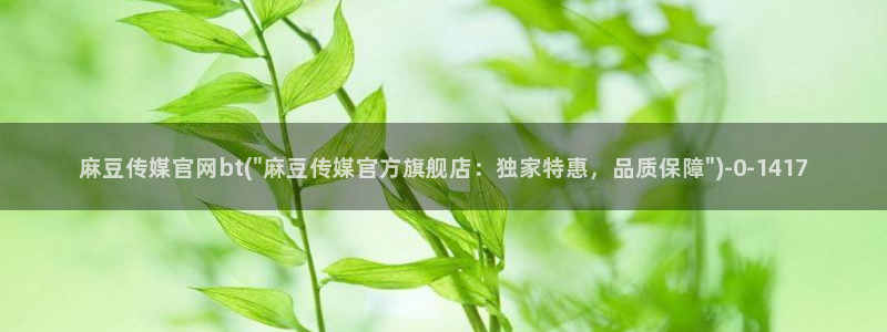 2020麻豆传媒官网：麻豆传媒官网bt(\