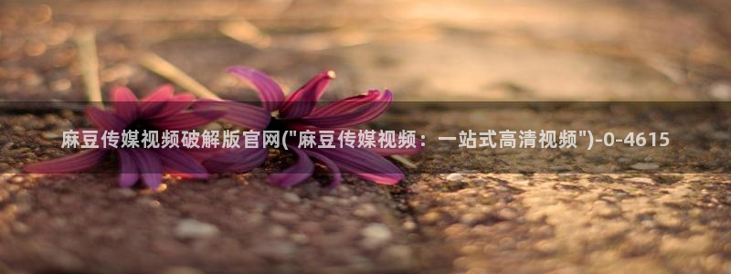 麻豆传媒官网论坛