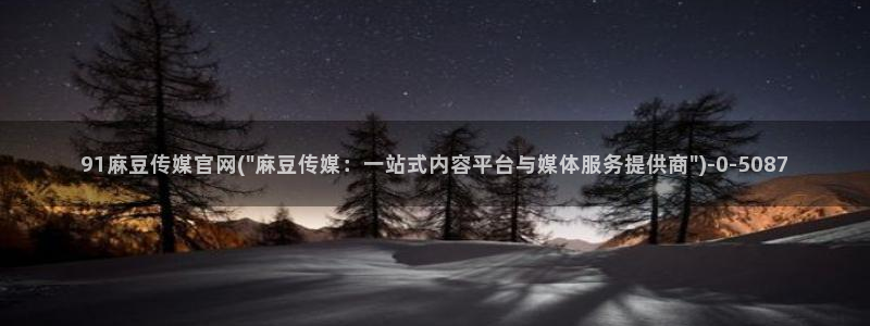 麻豆视传媒官网入口进入