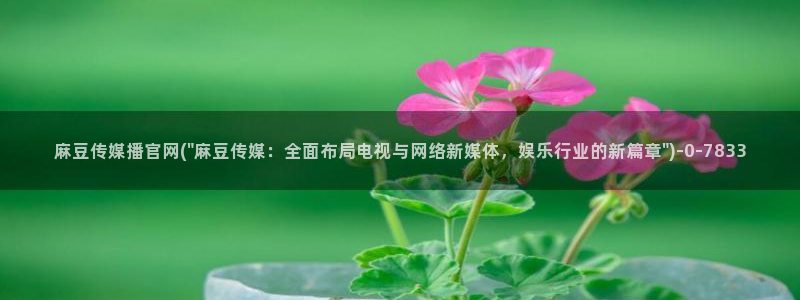 麻豆传媒官网testflight
