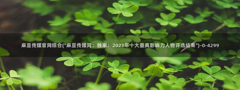 麻豆腐传媒官网