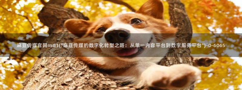 mdapptv麻豆传媒官网