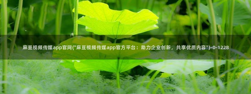 麻豆视传媒官网直
