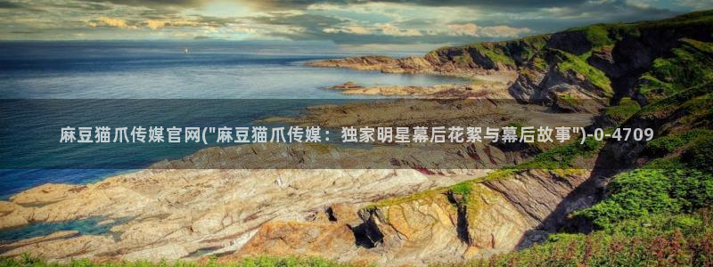 麻豆传媒换官网