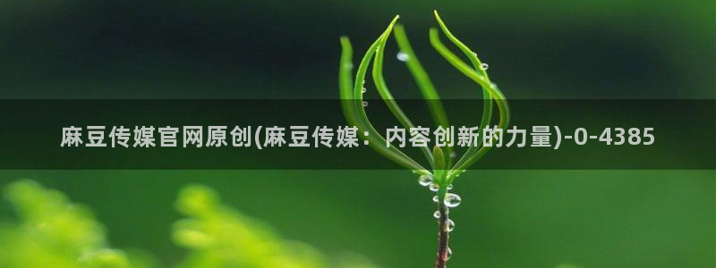 麻豆传媒映化官网
