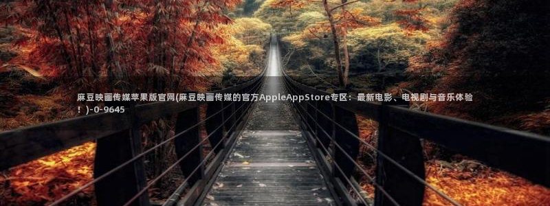 麻豆印映传媒官网